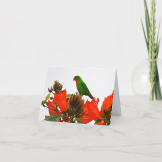 Cartes de note avec le perroquet exotique sur les