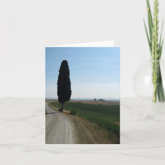 Cartes de note de Cypress italien