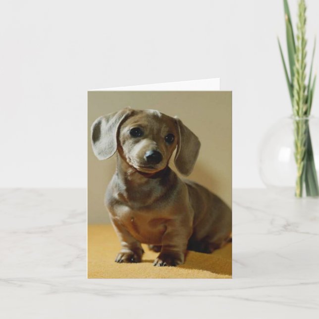 Cartes de note de Daschund (Devant)