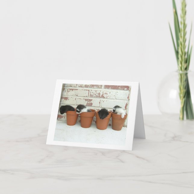 Cartes de note de pots de Kitty (Devant)