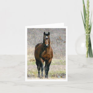 Cartes de note du cheval vides