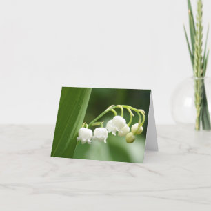 Cartes de note du muguet