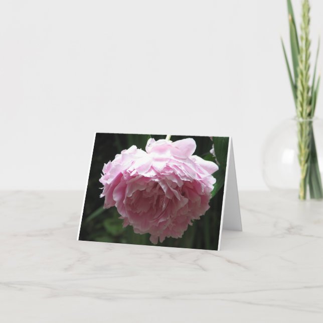 Cartes de note roses classiques de pivoine (Devant)
