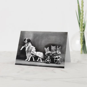 Cartes de note vintages de chiots et de chatons