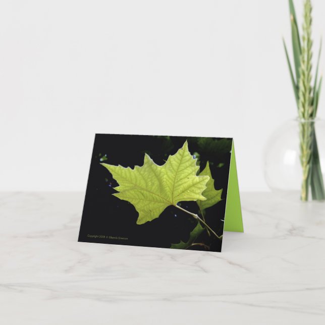 Cartes de notes à feuille verte (Devant)