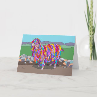Cartes de notes Angora colorées 5x7