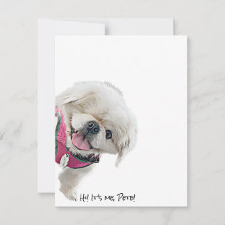 Cartes de notes avec Peter Rottentail