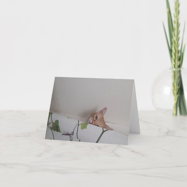 Cartes de notes blanches Peek-a-Boo (Devant)