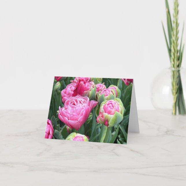 Cartes de notes blanches pour tulipes roses (Devant)