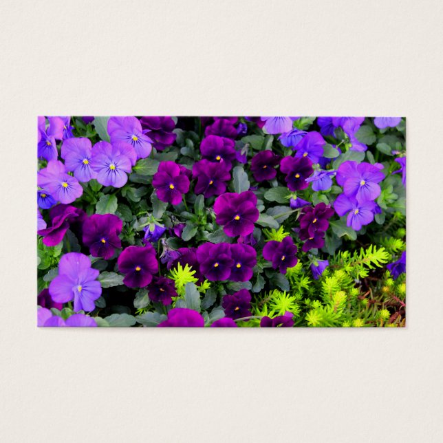 Cartes de notes de panneaux violets (Devant)