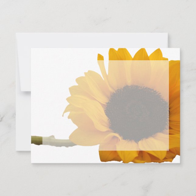 Cartes de notes de photos de tournesol (Devant)