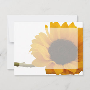 Cartes de notes de photos de tournesol
