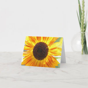 Cartes de notes de tournesol jaune