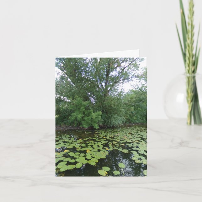 Cartes de notes des tapis Lily de Trees Lake (10) (Devant)