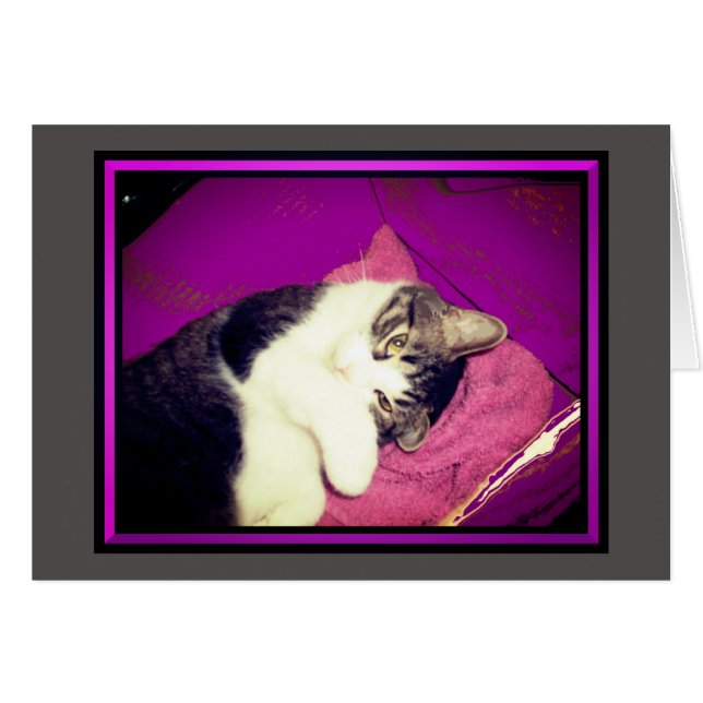Cartes de notes Lucy Kitty (Devant Horizontal)
