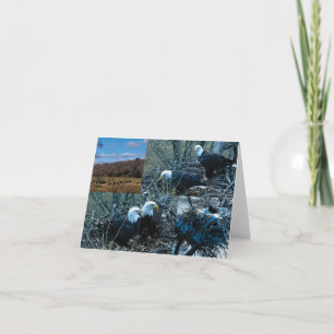 Cartes de notes nord du nid de décorations