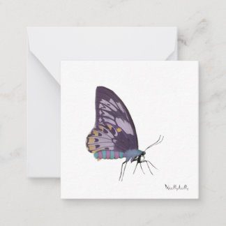 Cartes de notes papillon