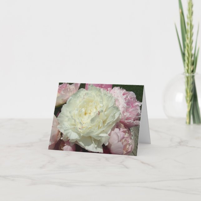 Cartes de notes Peonies Roses Blanches / Peony Ros (Devant)
