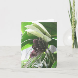 Cartes de notes Plantes tropicales