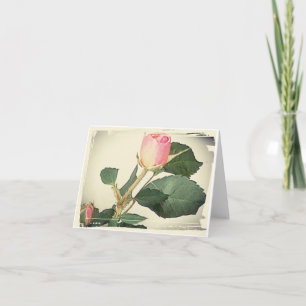 Cartes de notes pliées rose vintage