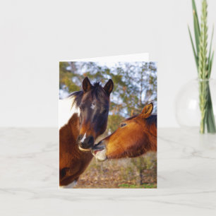 Cartes de notes pour chevaux