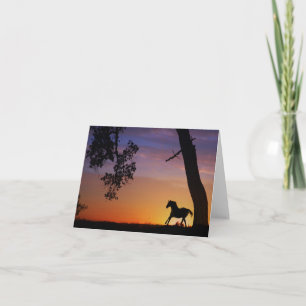 Cartes de notes pour chevaux vierges