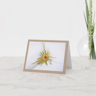 Cartes de notes pour la Sierra orientale