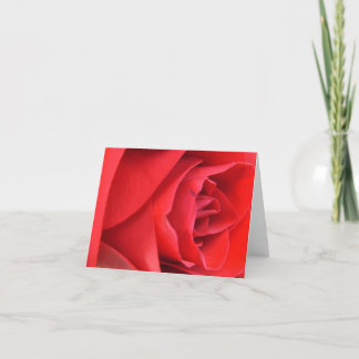 Cartes de notes rouges en blanc Rose