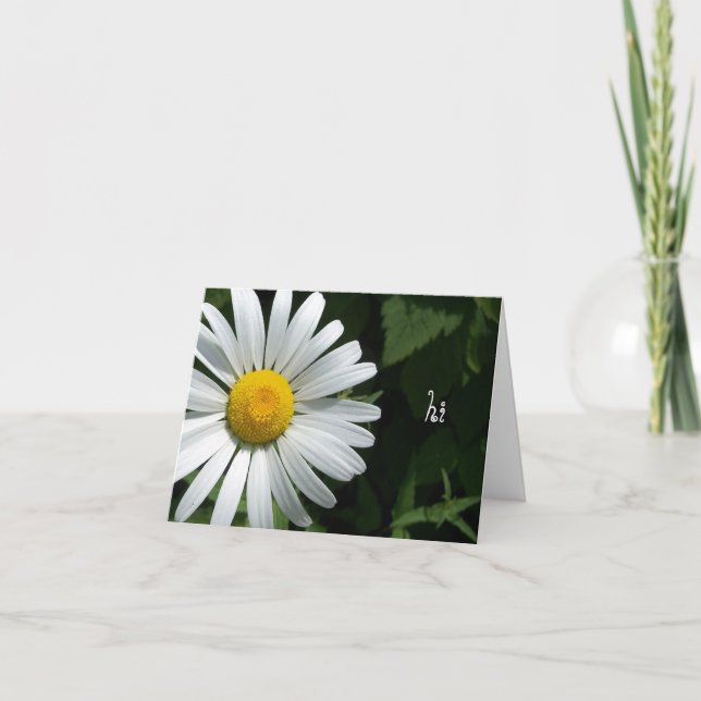 Cartes de notes Shasta Daisy (Devant)