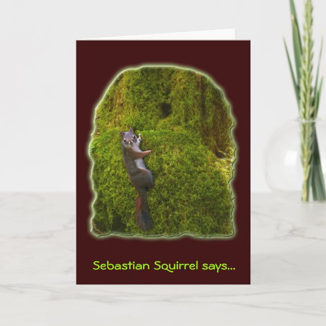 CARTES DE NOTES SQUIRREL SEBASTIEN (Devant)