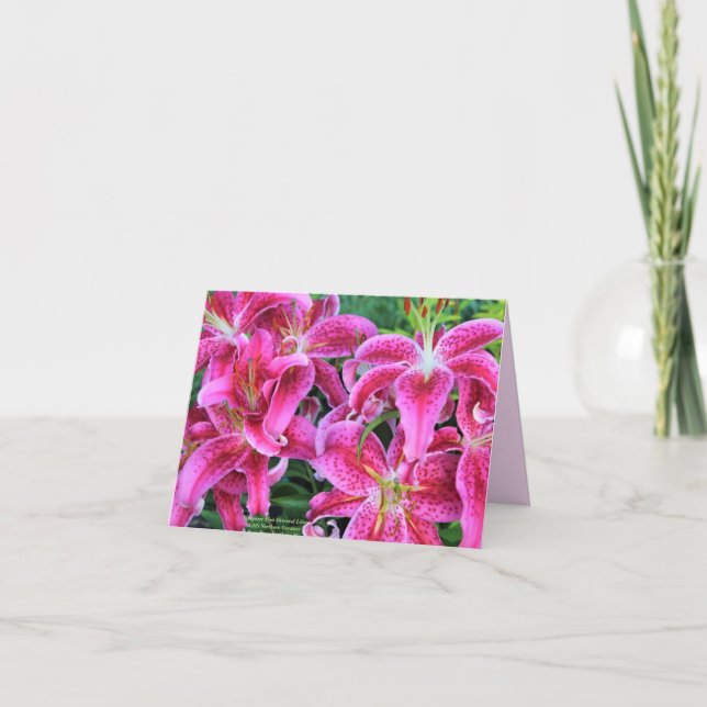 Cartes de notes Stargazer Pink Oriental Lilies (Devant)