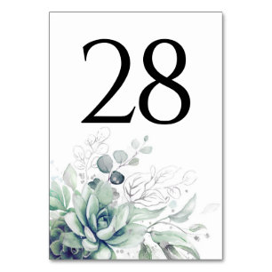 Cartes de numéro de tableau des plantes succulente