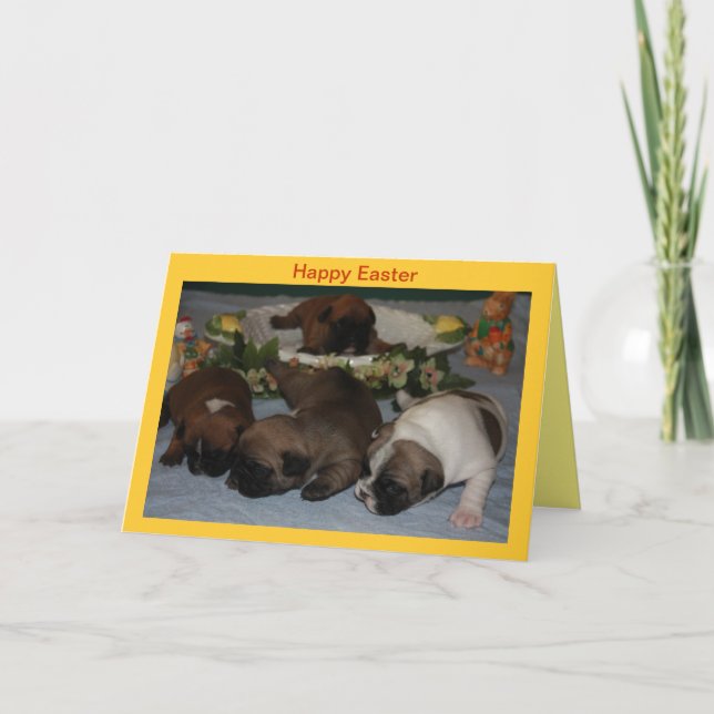Cartes de Pâques pour Bouledogues Français (Devant)