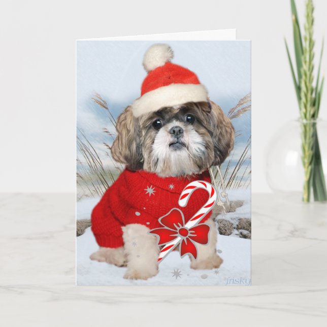 Cartes de pattes de Shih Tzu Père Noël (Devant)