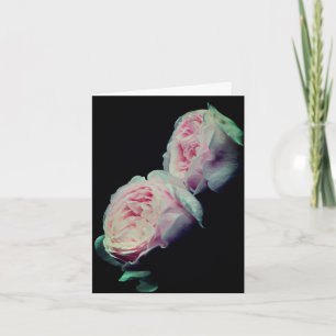Cartes de photographie de fleurs de roses roses él
