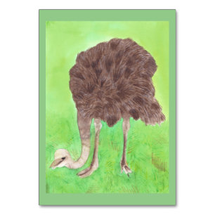 Cartes de poche Ostrich Custom Reading pour adulte