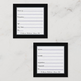 Cartes de présentation pour collections de fossile