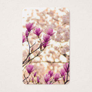 Cartes de prière Magnifique Magnolia