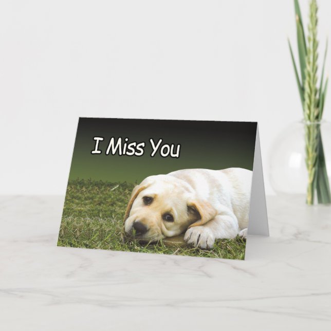 Cartes de prison - Miss U (Devant)