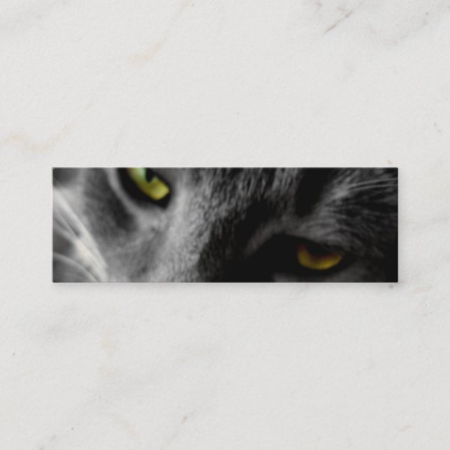 Cartes de profil des plots réflectorisés (Devant)