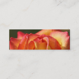 CARTES DE PROFIL ROSE PEACH