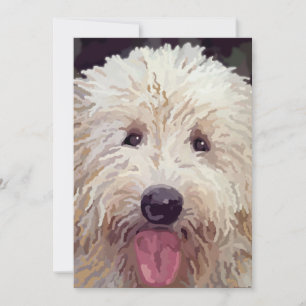 Cartes de recherche Doodle d'or