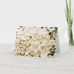 Cartes de remerciement florales Stephanotis blanch