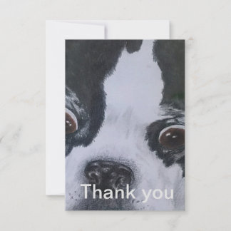 Cartes de remerciement pour Boston Terrier