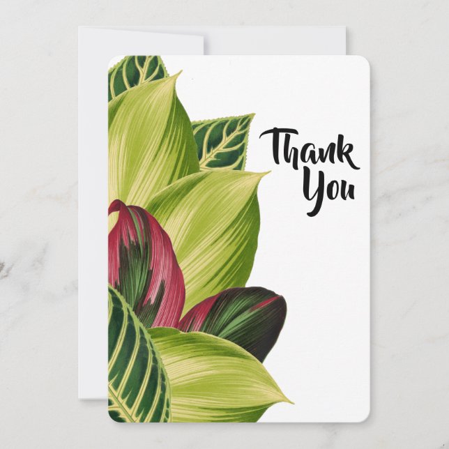 Cartes de remerciements Feuille tropicaux (Devant)
