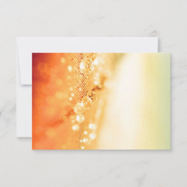 Cartes de réponse pour invitations et papeterie (Devant)