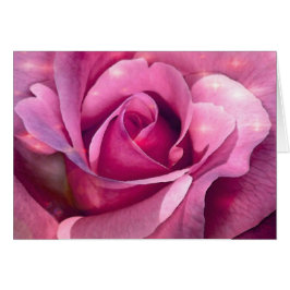 Cartes de rose de rose