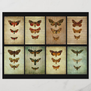 Cartes de scrapbook ATC Moth Style Victorien