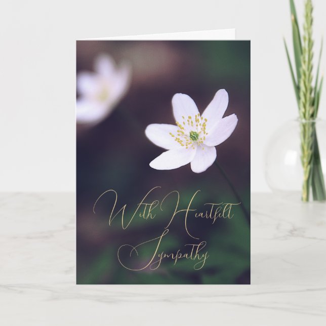 Cartes de Sympathie Florale du Fleur sauvage fores (Devant)