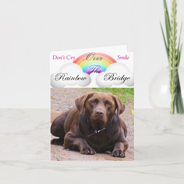 Cartes de Sympathie pour le chien j/ récupérateurs (Devant)